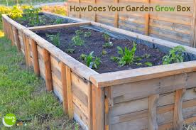 Wow The Ultimate Pallet Craft Raised Garden Beds Momitforward Com Garden Grow Boxes Pallets Garden Pallet Garden