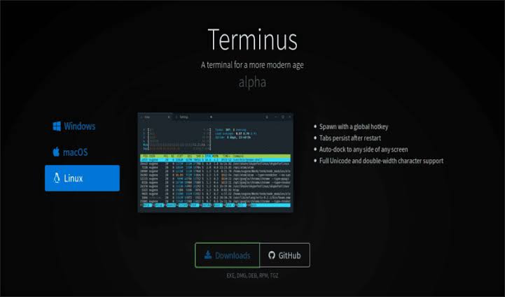 Terminus, a modern customizable multiplatform terminal