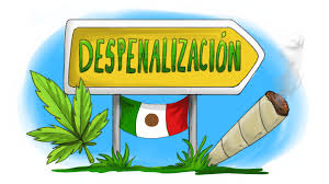 México ha acudido este domingo a las urnas para elegir a los 500 miembros de la cámara de diputados, 15 gobernadores y miles de autoridades locales. Legalizacion De La Marihuana En Mexico Que Falta