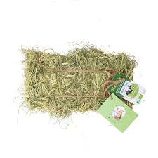 Vous souhaitez perdre du poids et ne savez pas vraiment comment vous y prendre ? Mini Botte Au Foin Bio De Normandie Rabbits World