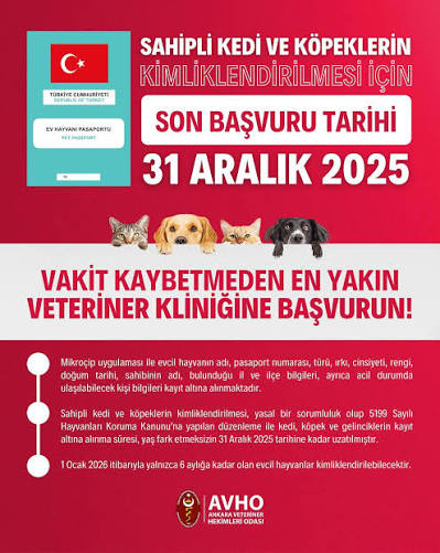 Evcil Hayvanına Çip Taktırmayı Unutma: Son Tarih 31 Aralık!