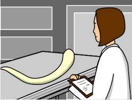 Carbon flows between each reservoir on the earth in an exchange called the carbon cycle, which has slow and fast components. Brainpop Carbon Dating Science Quiz Quizizz