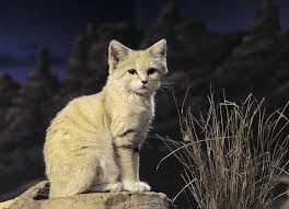 Check spelling or type a new query. ç©ç§ç¾ç§' æ²ä¸ç« æ¯æ¥å¤´æ¡