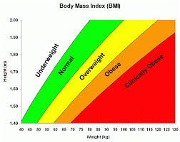 The result will be 29.1 which is overweight range. Bmi And 5 Things You Should Know
