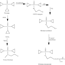 Image result for Thiotepa