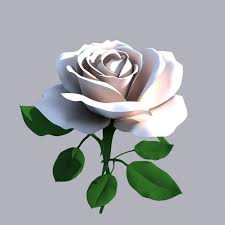 3d Rose Flower Model Flower Model Rose Flowers
