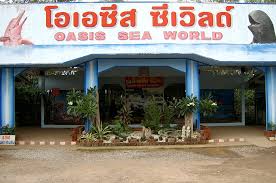 Hasil gambar untuk Oasis Sea World Thai Dolphins Show, Chanthaburi