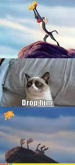 Quotes From Angry Cat Titanic Quotesgram