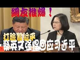 Image result for 蔡英文拒絕一國兩制
