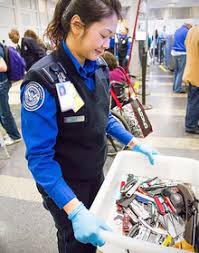 Transportation Security Administration Wikipedia