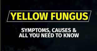 Maybe you would like to learn more about one of these? Find Out What Is Yellow Fungus And What Are Its Symptoms Newstrack English 1