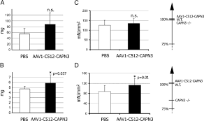 Safety and Efficacy of AAV-Mediated Calpain 3 Gene Transfer in a Mouse  Model of Limb-Girdle Muscular Dystrophy Type 2A: Molecular Therapy