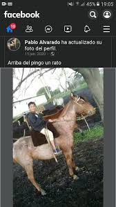 Последние твиты от pablo (@meme_pablo). Puros Memes 2 Photos Facebook