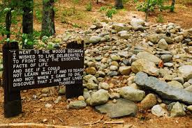 If You Care About Climate Change Racial Justice Or Equality Thank A Transcendentalist