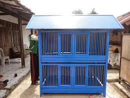 30 Unik Desain Kandang Ayam Dari Baja Ringan 20 Contoh Desain Kandang Ayam Sederhana Nan Cantik Desainkandangayam Kandangayamterbaru Kandang Ayam Desain Ayam