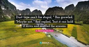 You can't fix stupid movie on quotes.net. Duct Tape Can T Fix Stupid Bas Growled Maybe Not Red Replied Quote By T Hammond Color Blind Quoteslyfe