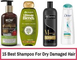 Garnier ultra blends mythic olive deep nourishing shampoo is a boon for dry and damaged hair. 15 Best Shampoo For Dry Damaged Hair Review In India Best Beauty Lifestyle Blog