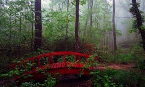 With varying degrees of ease and difficulty, hikers and bikers are sure to find just the right trail. 10 Can T Miss Hiking Spots In North Alabama Tennessee Valley Living