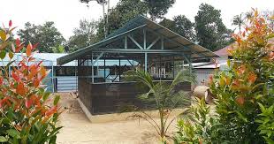 Lawatan ke reban ayam kampung asli yang berskala komersial di melaka #ayamkampung. Reban Ayam Kampung