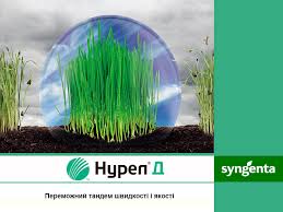 ÐÐ°ÑÑÐ¸Ð½ÐºÐ¸ Ð¿Ð¾ Ð·Ð°Ð¿ÑÐ¾ÑÑ ÑÐ½ÑÐµÐºÑÐ¸ÑÐ¸Ð´ Ð½ÑÑÐµÐ»