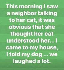 Then, you should check out the text messag. Cat Vs Dog People Funny Pictures With Captions Funny Quotes Funny Jokes To Tell