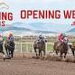 Live Horse Racing at Wyoming Downs