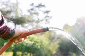 However, when it comes to gardening, it is critical to understand that different plants in the garden have different watering needs. Are You Watering Your Veggies The Right Way
