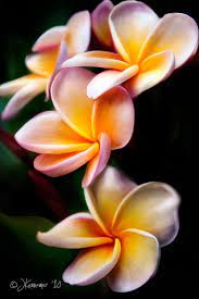 Pin On Photography