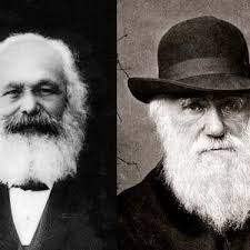 Britain's Birds: An Identification Guide to the Birds of Great Britain and  Ireland Second Edition, fully revised and updated : Hume, Rob, Still,  Robert, Swash, Andy, Harrop, Hugh, Tipling, David: Amazon.in: Books