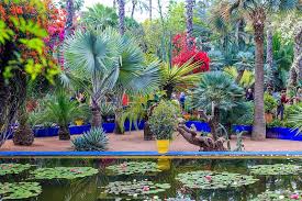 Environmental design and landscaping llc was created in 1998 to provide homeowners with a creative landscape design and build service. The Majorelle Garden Is A Botanical Garden And Artist S Landscape Garden In Marrakech Stock Photo Image Of Garden Color 146910070