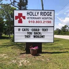 Funny Vet Clinics Signs About Cats Funny Cat Veterinary Clinic Signs Funny Cat Jokes Cat Jokes Funny Cats