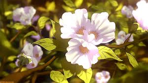 The global community for designers and creative professionals. Flower Gifs Images