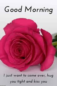 Best Good Morning Hd Images Wishes Pictures And Greetings Good Morning Quotes For Him Good Morning Romantic Good Morning Love Messages