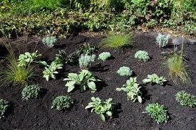 5 low maintenance garden ideas to transform your garden. Daring Forms With Longfield Gardens Thinking Outside The Boxwood Longfield Gardens Low Maintenance Garden Garden