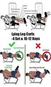 Leg Curls Rutinas De Ejercicio Gimnasio Rutinas De Entrenamiento Entrenamiento Fitness