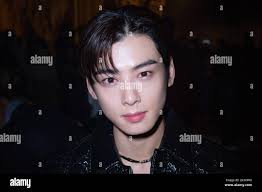 Cha eun woo hi-res stock photography and images