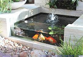 Salah satu yaitu dengan membuat dan meramu sendiri jenis pakan untuk ikan peliharaannya. Membuat Kolam Ikan Sendiri Di Rumah Akuarium Ikan Hias