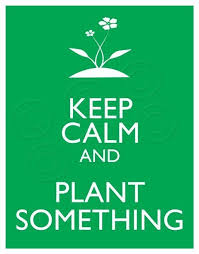 Keep Calm And Plant Something Garden Quotes Plants Keep Calm