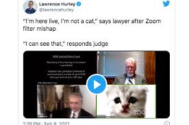 Lawyer tells judge 'i'm not a cat' after a zoom filter mishap in virtual court hearing by christina zdanowicz , cnn updated 12:54 am et, wed february 10, 2021 I M Here Live I M Not A Cat Best Zoom Fail Ever Must Watch 103 9 Wayne Fm We Play Everything Fort Wayne In