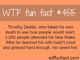 The official account for magic: Wtf Fun Factss Wtf Fun Facts Fun Facts Weird Facts