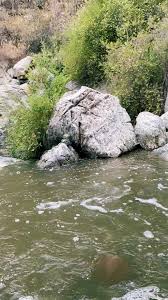 jonathan concha (@jonasfrancoisjc)