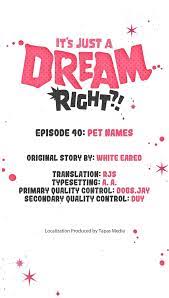 It's Just a DreamRight?! 