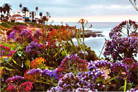 Maybe you would like to learn more about one of these? Flowers By The Ocean Digital Art By Laura Zeid