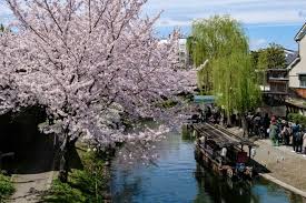 Spring in Japan: When & Where to See Cherry Blossoms (2025)