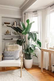 Wonderful Indoor Plants For Living Room Living Room Plants Plant Decor Indoor Big Indoor Plants