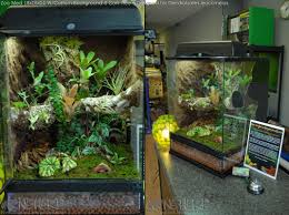 Http Www Neherpetoculture Com Gallery Cavivlg Jpg Exoterra Reptile Tank Vivarium