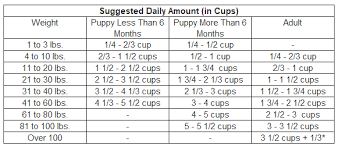 Lifes Abundance Dog Food My New Retriever