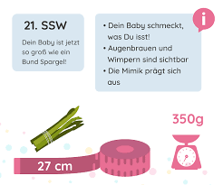 Mit 6 monaten sollte das gewicht zwischen 21 kg und 25 kg sein. 21 Ssw Schwangerschaftswoche