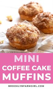 Mini Coffee Cake Muffins Recipe Brooklyn Farm Girl Video Recipe Video Coffee Cake Muffins Simple Muffin Recipe Mini Muffins