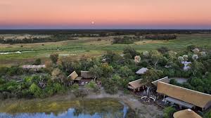 Image result for Ozoroa okavangensis